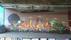 Graffiti Tunnel Ruhr-Universit�t Mitte | <a class="print" href="#" onclick="return hs.printImage(this)">Bild drucken</a>